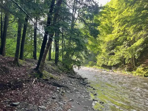 466 Estey Lane Windsor VT 05089