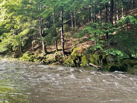 466 Estey Lane Windsor VT 05089