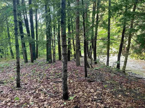 466 Estey Lane Windsor VT 05089