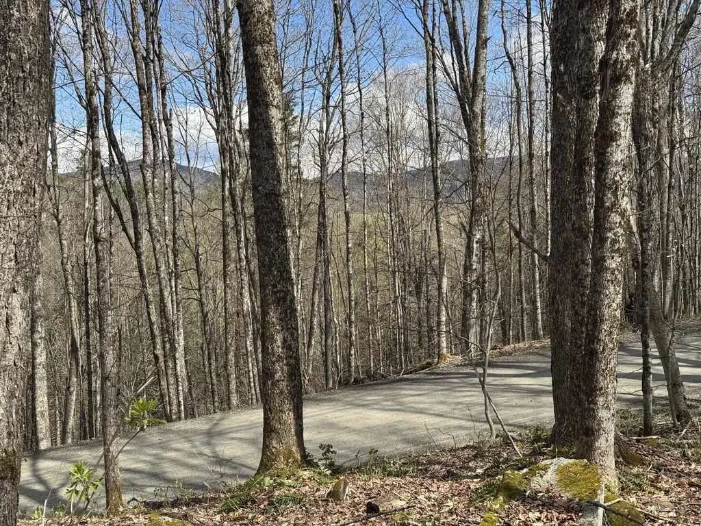 316 Last Road Cabot VT 05647