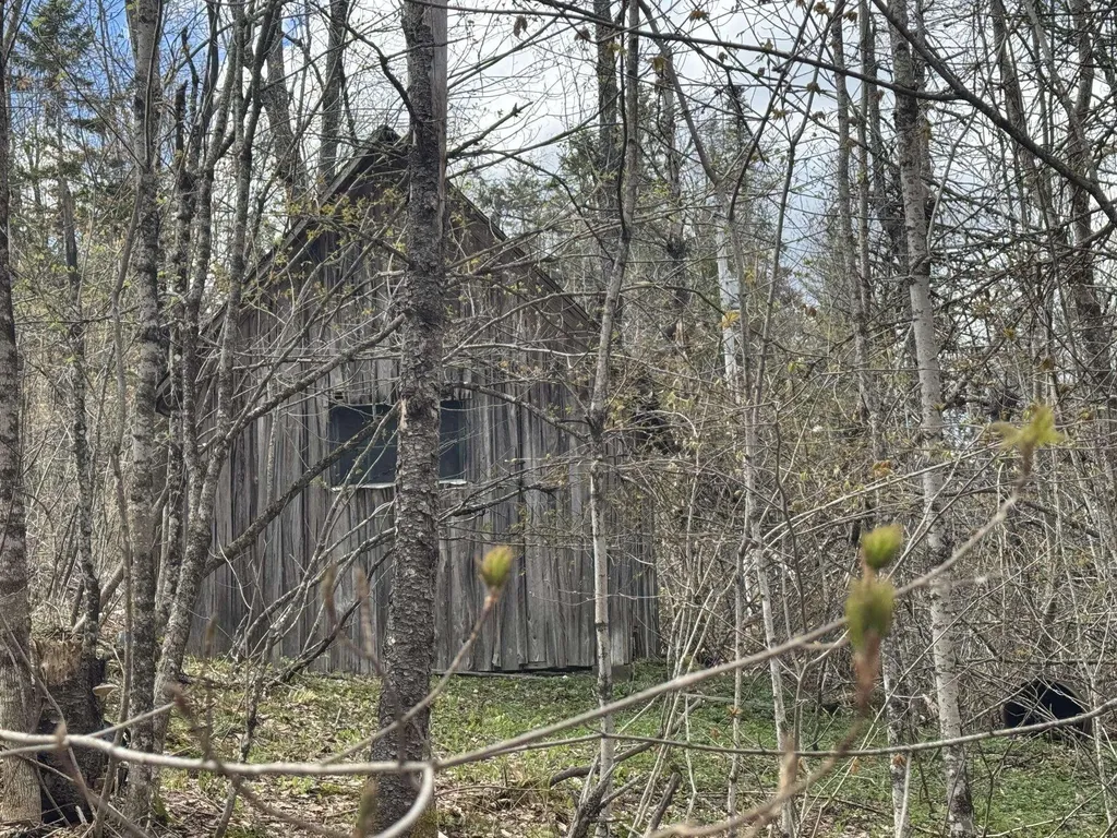 316 Last Road Cabot VT 05647