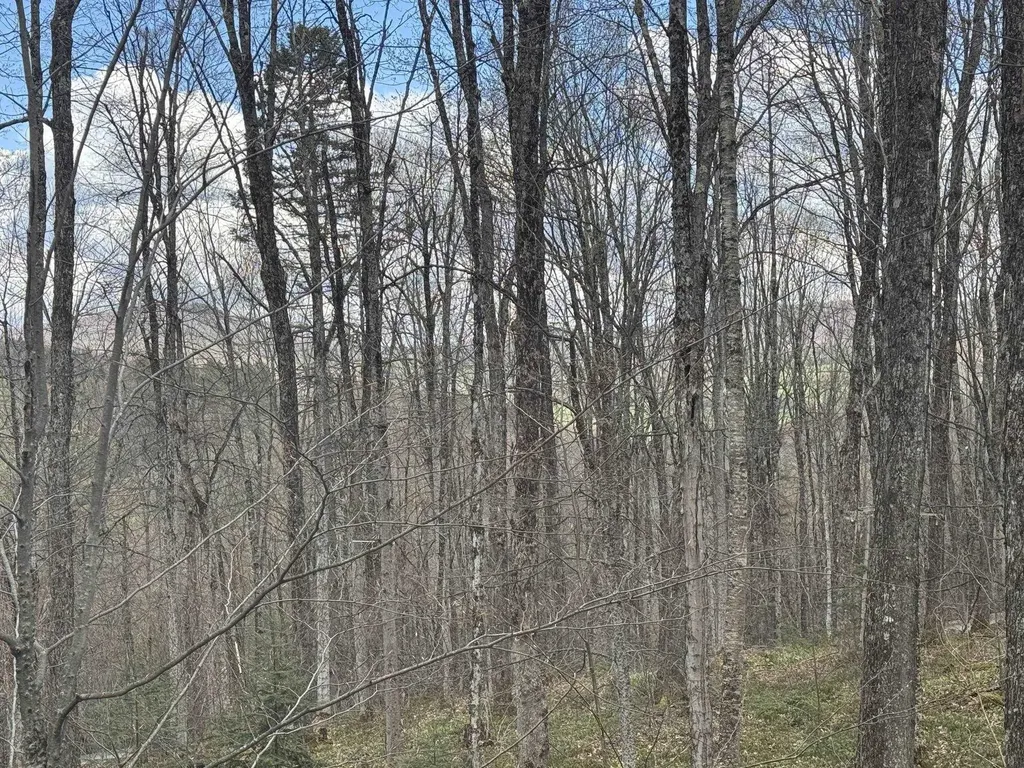 316 Last Road Cabot VT 05647