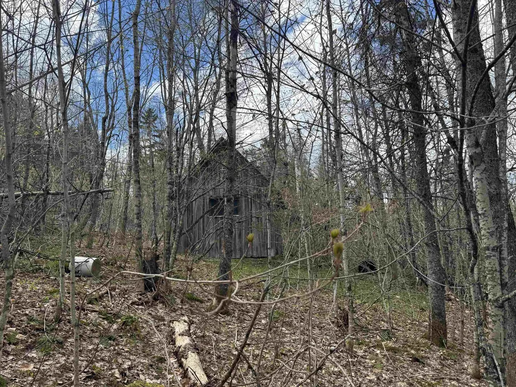 316 Last Road Cabot VT 05647