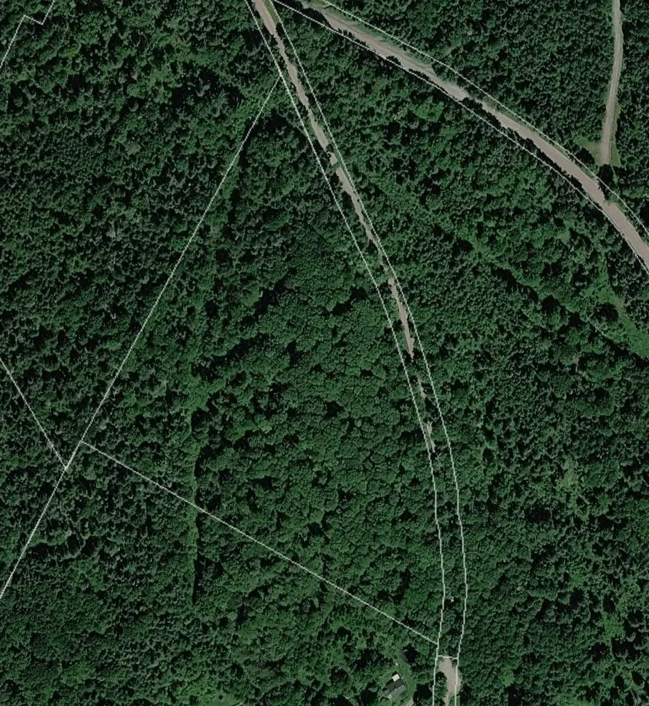 316 Last Road Cabot VT 05647