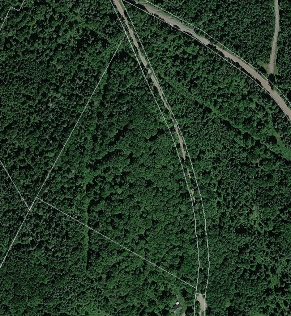 316 Last Road Cabot VT 05647