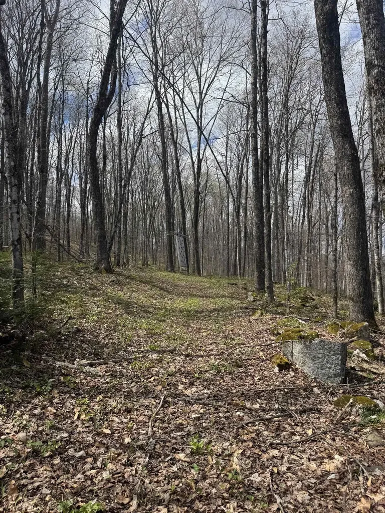 316 Last Road Cabot VT 05647