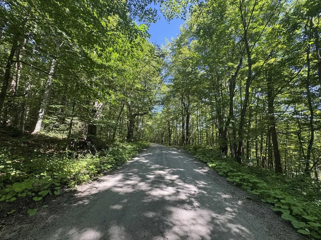 316 Last Road Cabot VT 05647