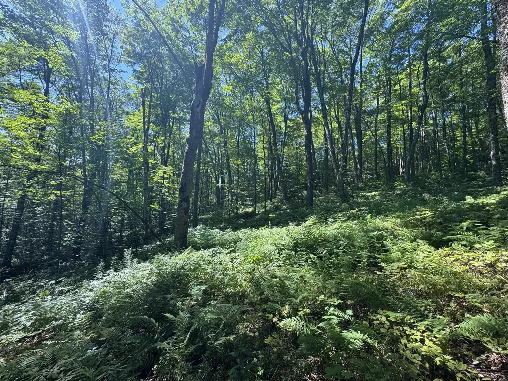316 Last Road Cabot VT 05647