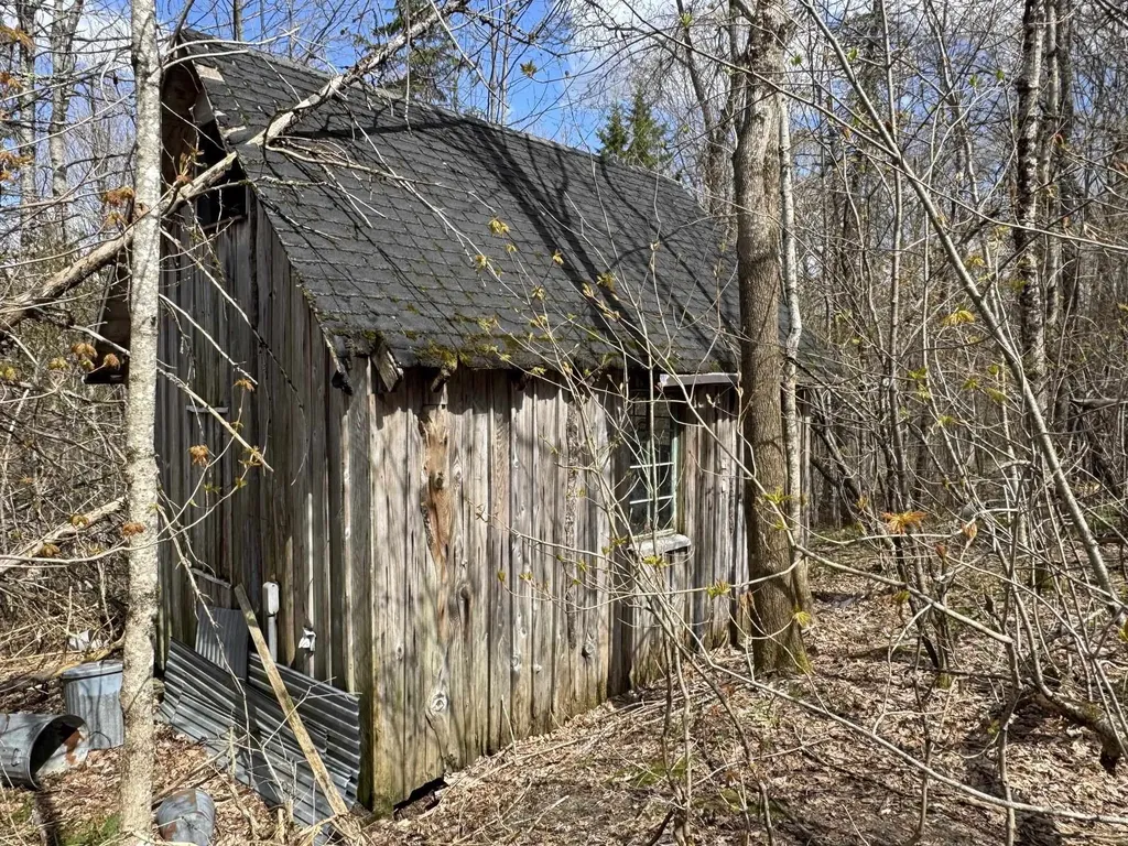 316 Last Road Cabot VT 05647
