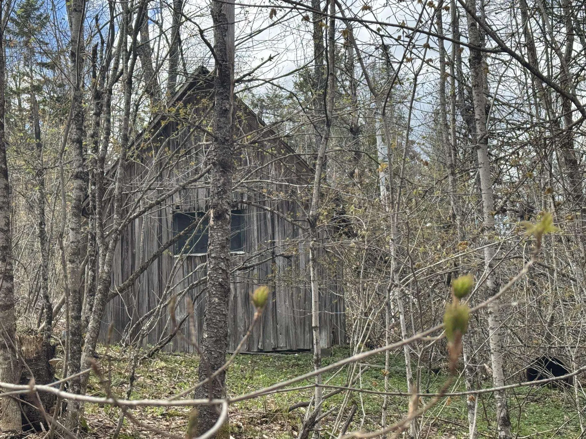 316 Last Road Cabot VT 05647