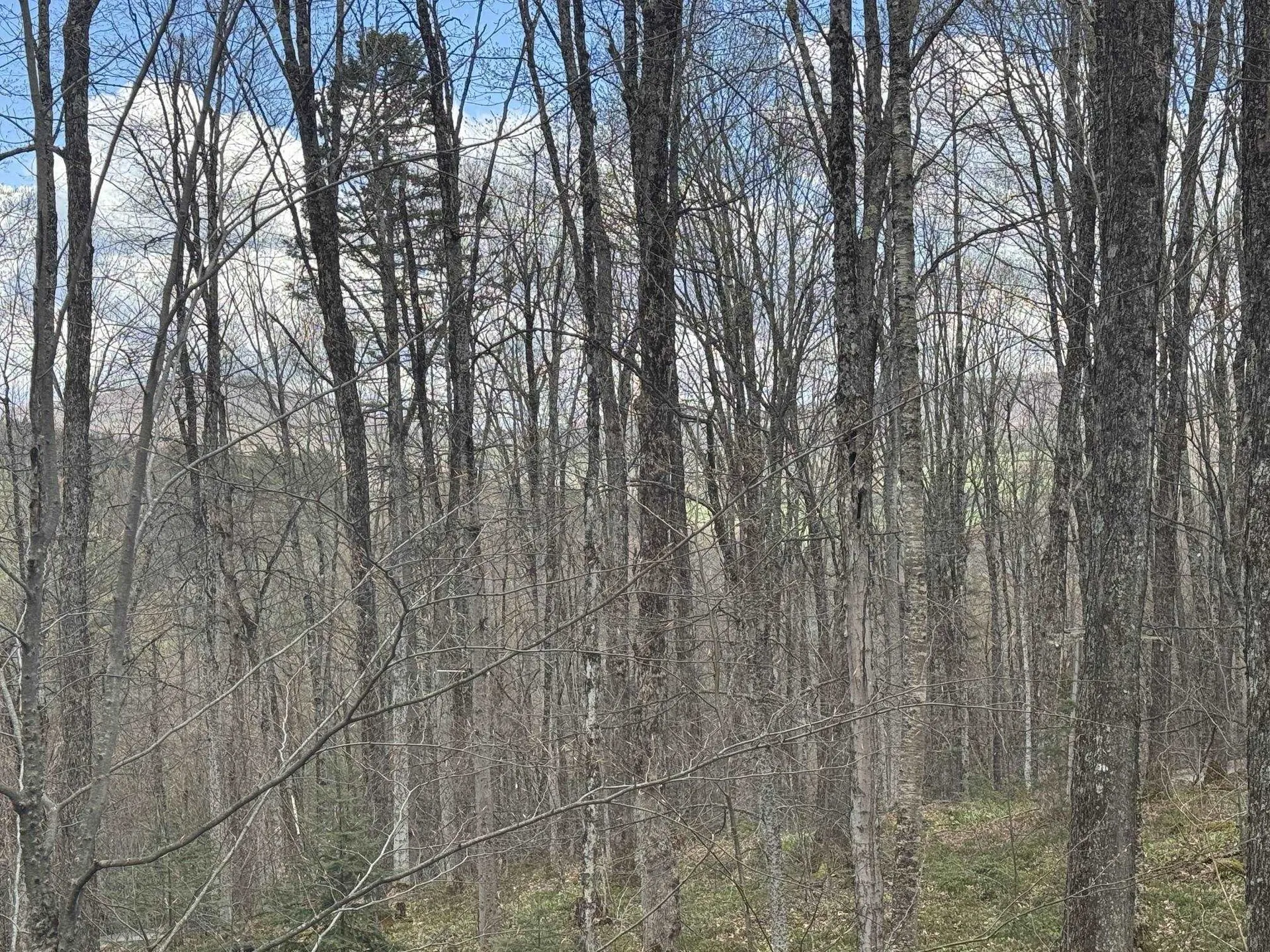 316 Last Road Cabot VT 05647