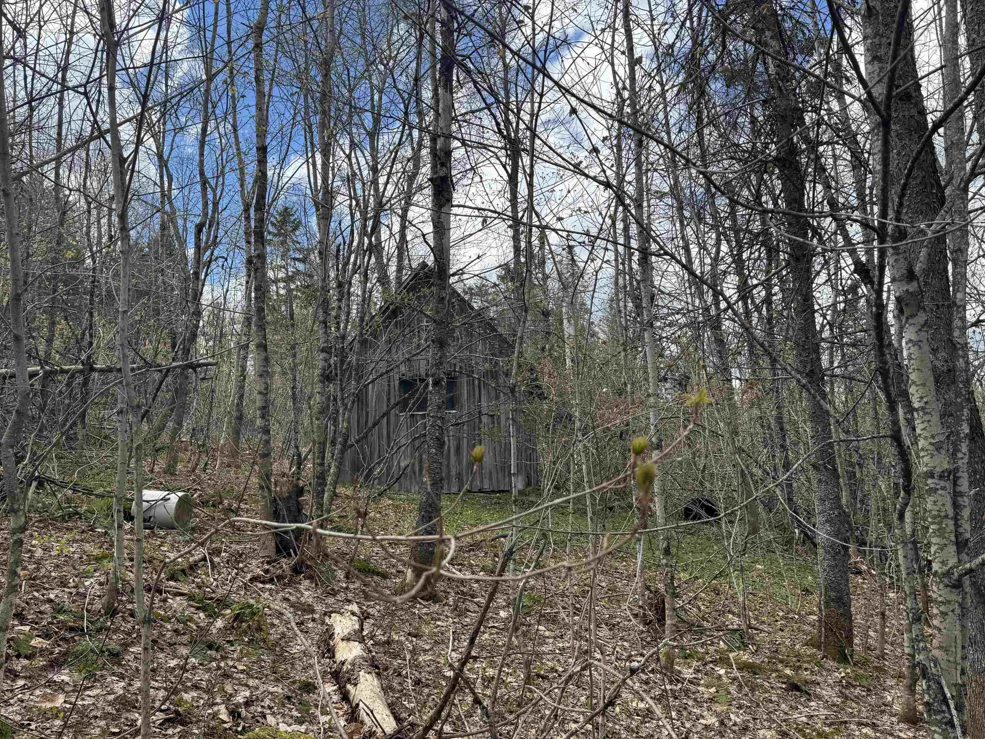 316 Last Road Cabot VT 05647