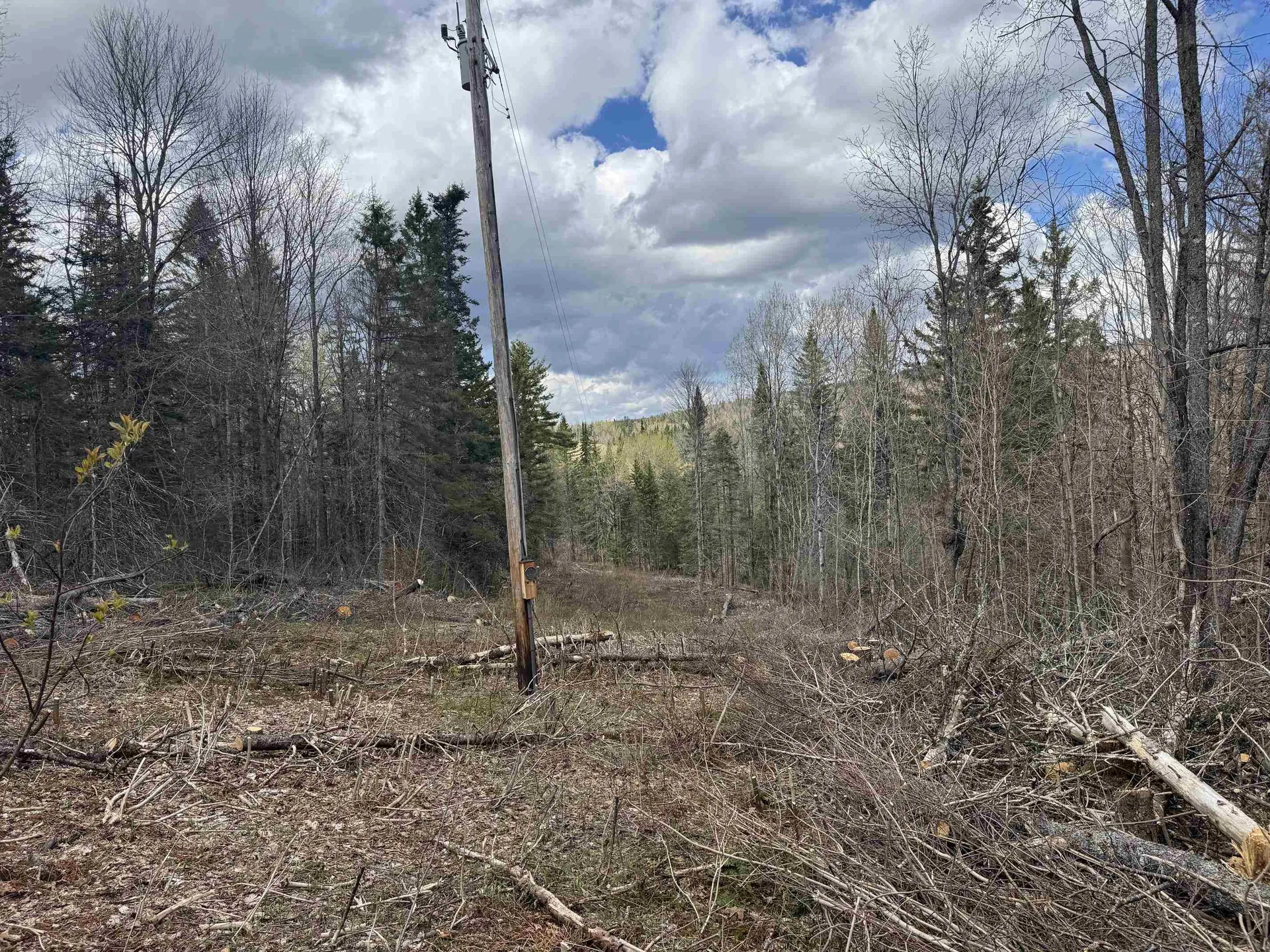 316 Last Road Cabot VT 05647