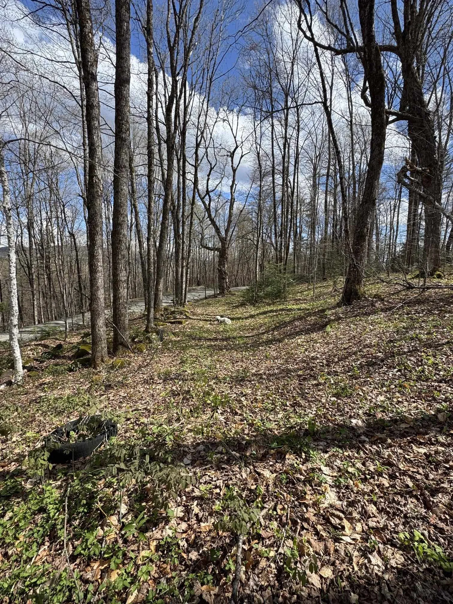 316 Last Road Cabot VT 05647