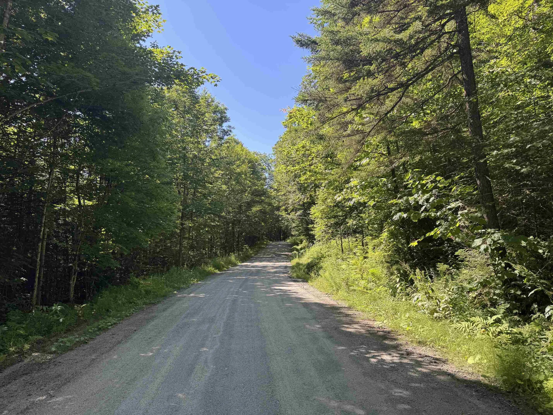 316 Last Road Cabot VT 05647