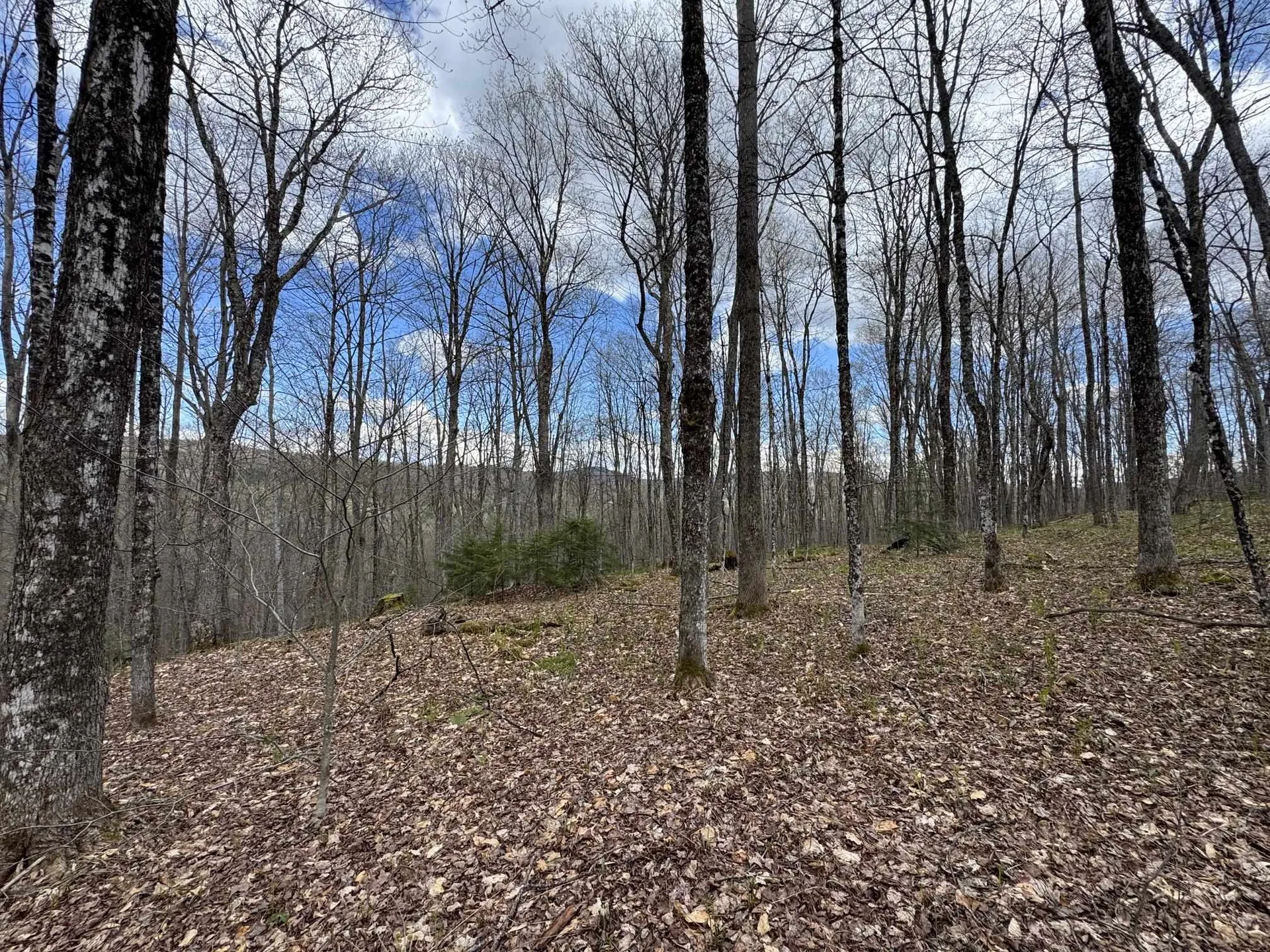 316 Last Road Cabot VT 05647