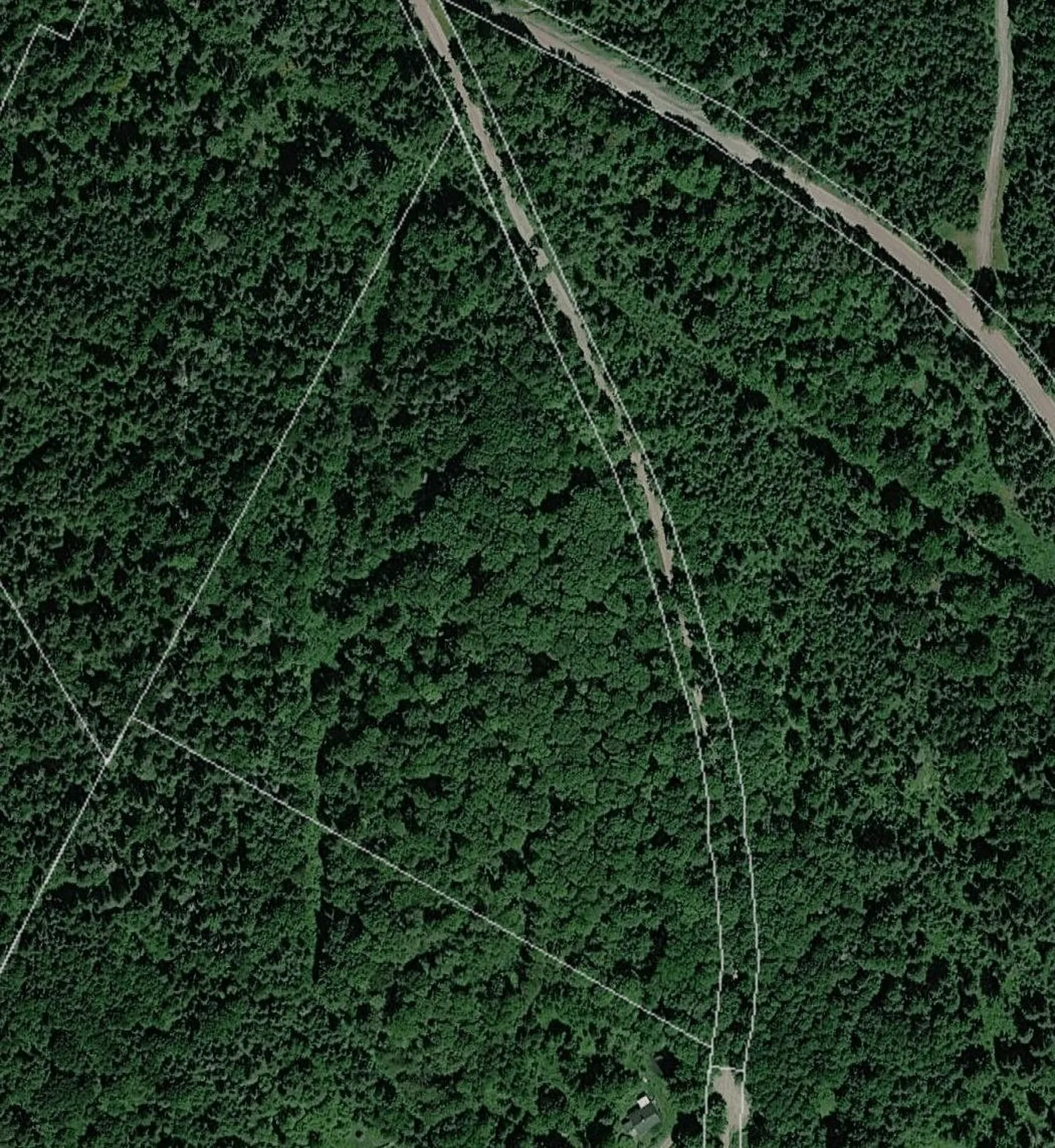 316 Last Road Cabot VT 05647