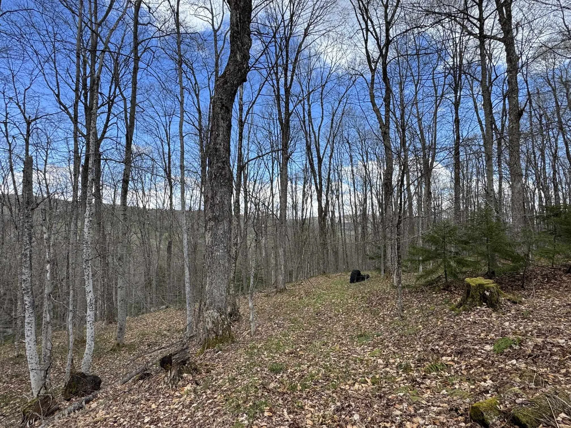316 Last Road Cabot VT 05647
