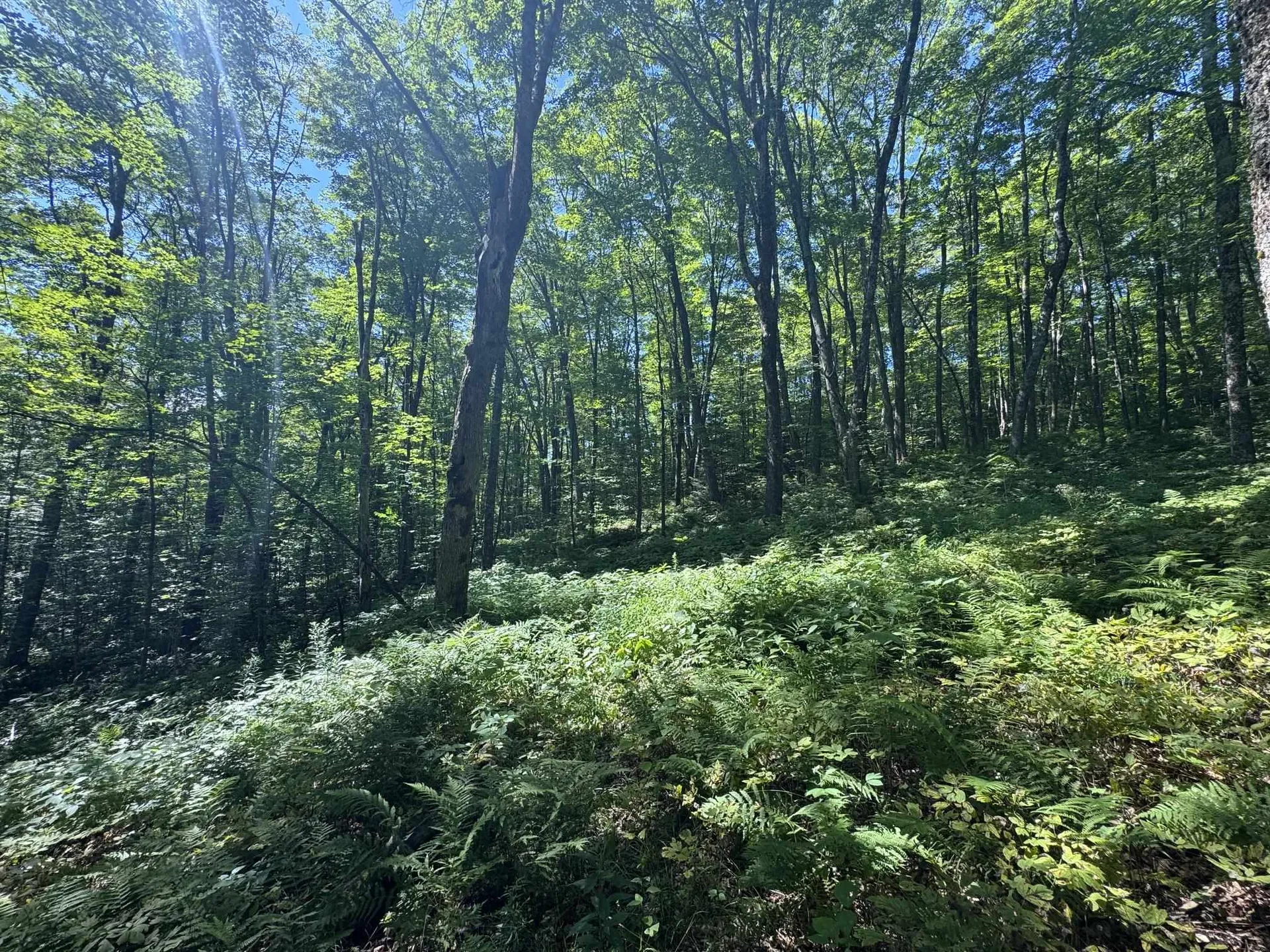 316 Last Road Cabot VT 05647