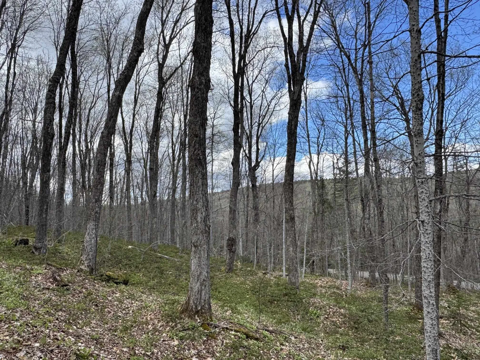 316 Last Road Cabot VT 05647