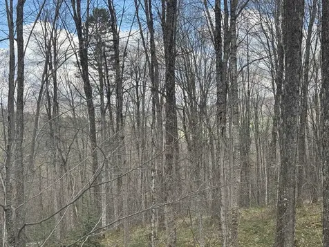 316 Last Road Cabot VT 05647