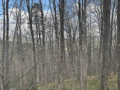 316 Last Road Cabot VT 05647
