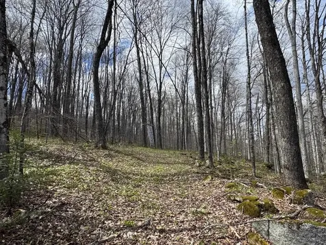 316 Last Road Cabot VT 05647