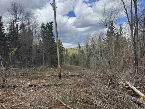 316 Last Road Cabot VT 05647