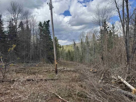 316 Last Road Cabot VT 05647
