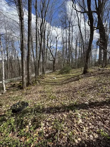 316 Last Road Cabot VT 05647