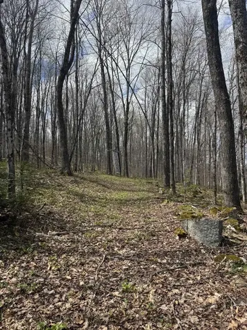 316 Last Road Cabot VT 05647