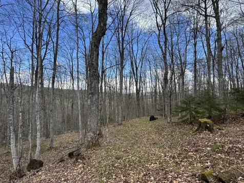 316 Last Road Cabot VT 05647