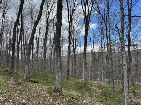 316 Last Road Cabot VT 05647