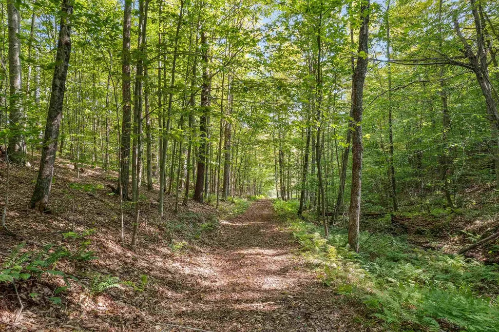 2230 Quimby Mountain Road Sharon VT 05065