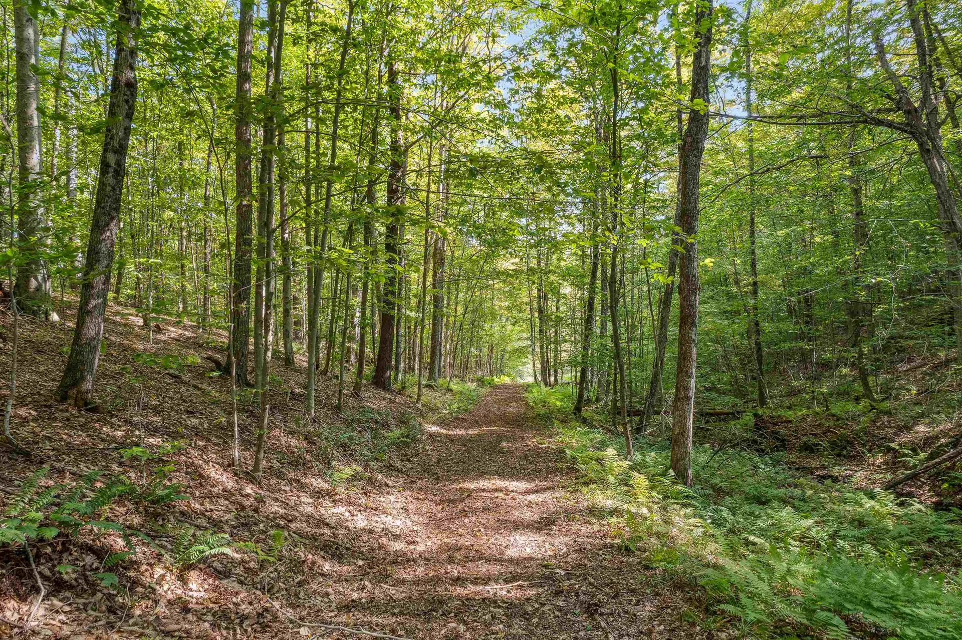 2230 Quimby Mountain Road Sharon VT 05065