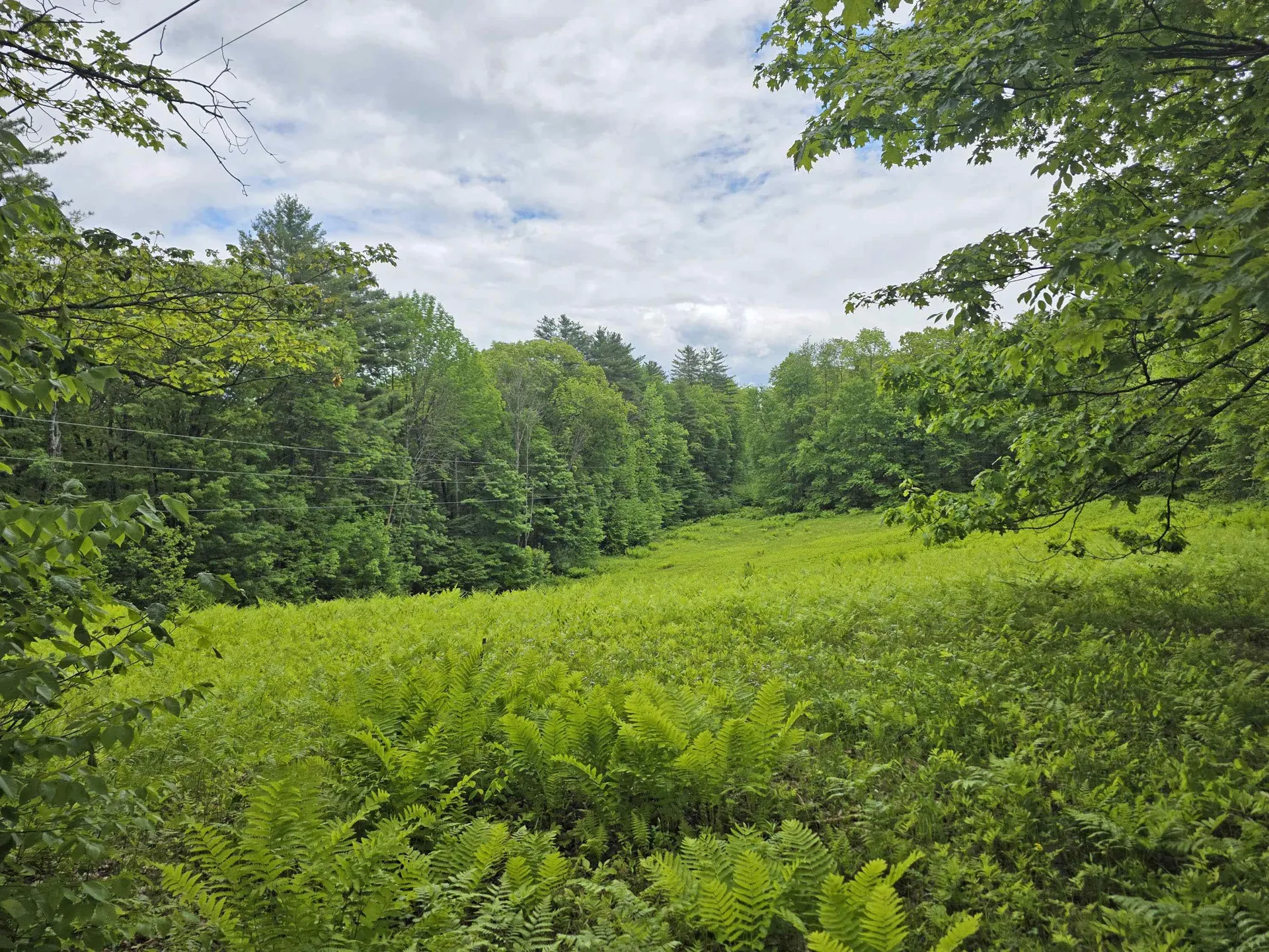157 Newfane Hill Road Newfane VT 05345