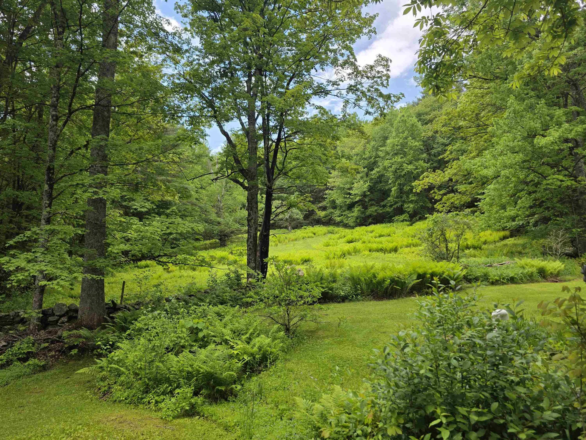 157 Newfane Hill Road Newfane VT 05345