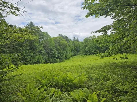 157 Newfane Hill Road Newfane VT 05345