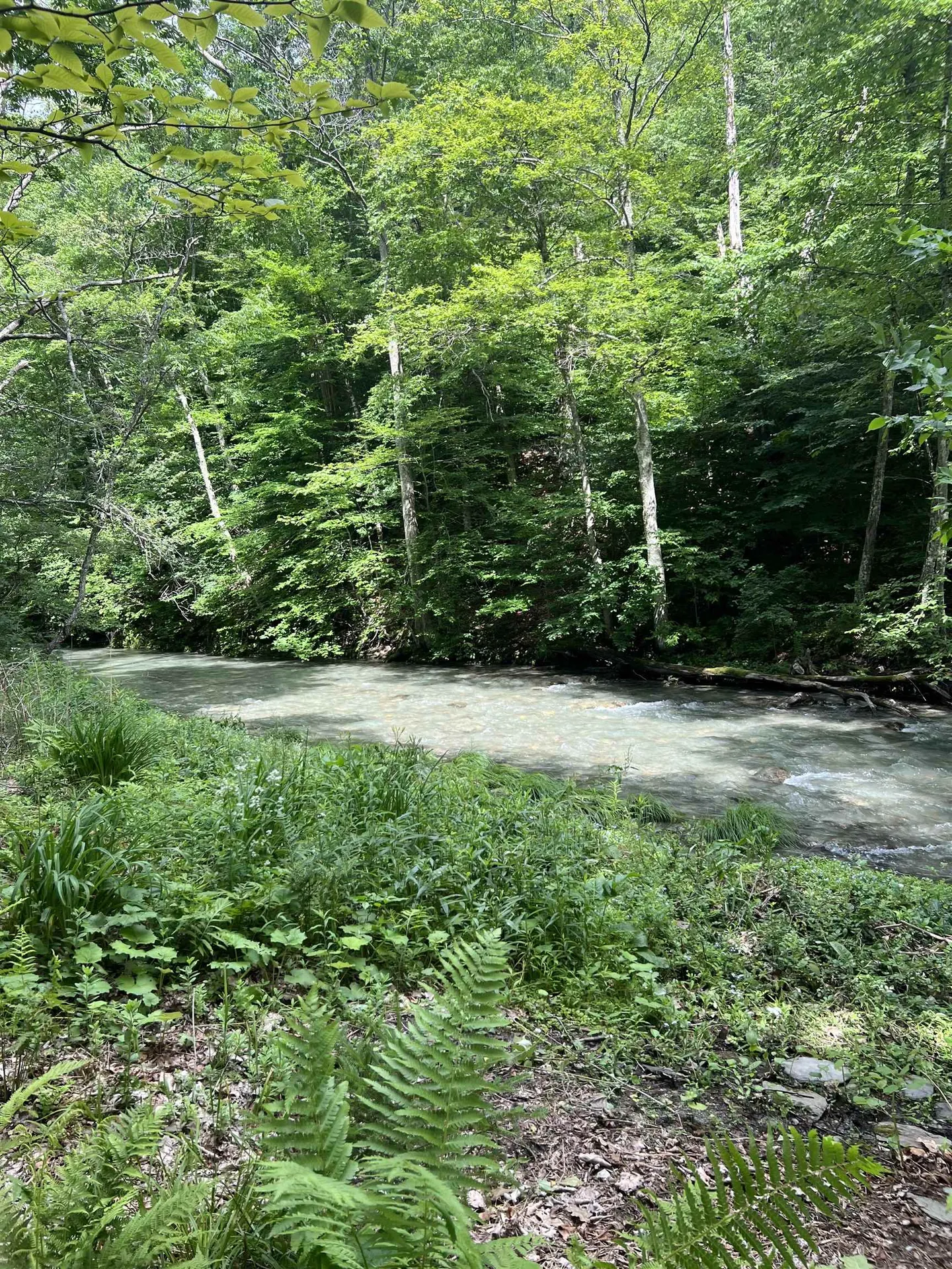 2740 Sandgate Road Sandgate VT 05250