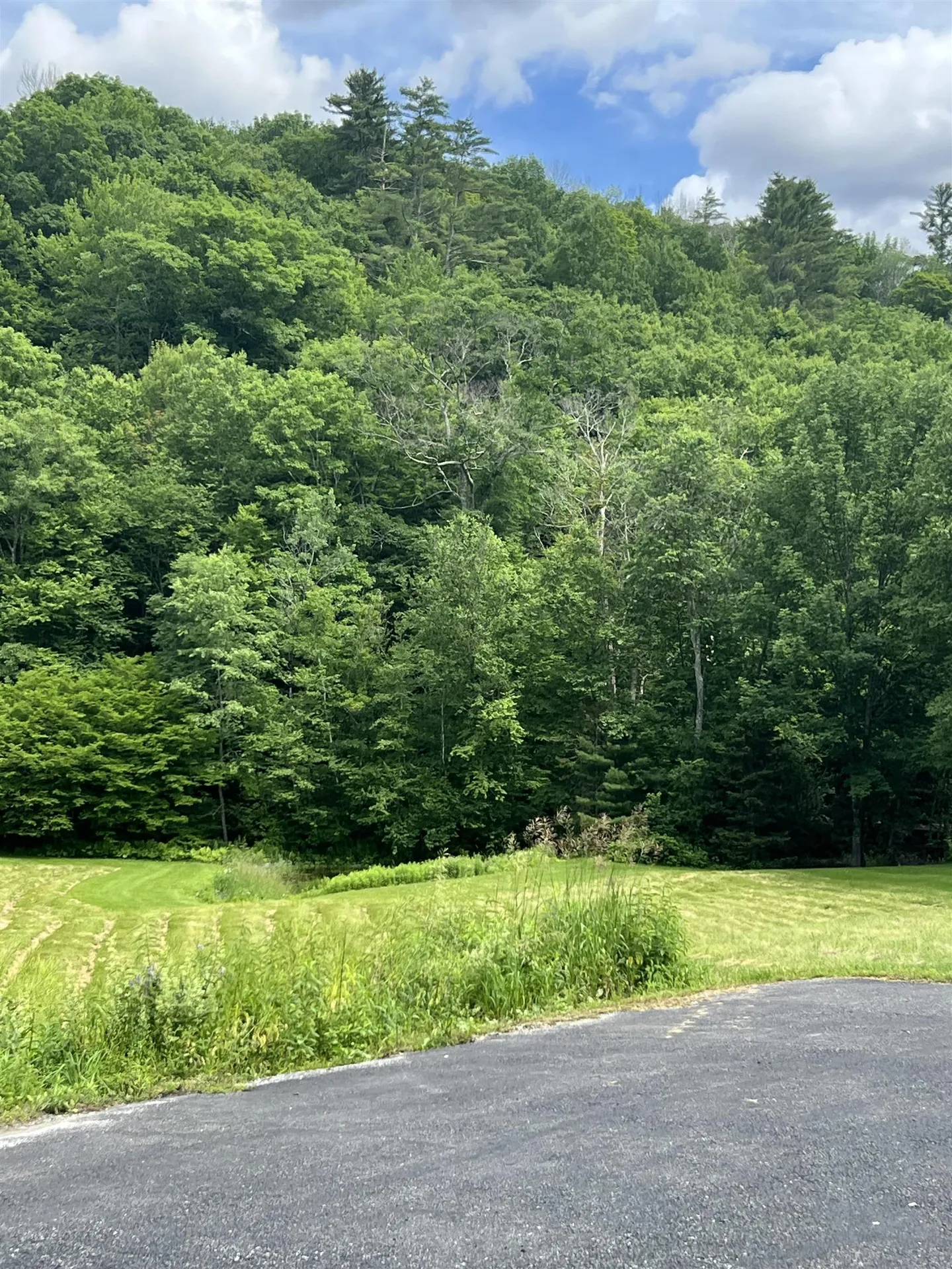 2740 Sandgate Road Sandgate VT 05250