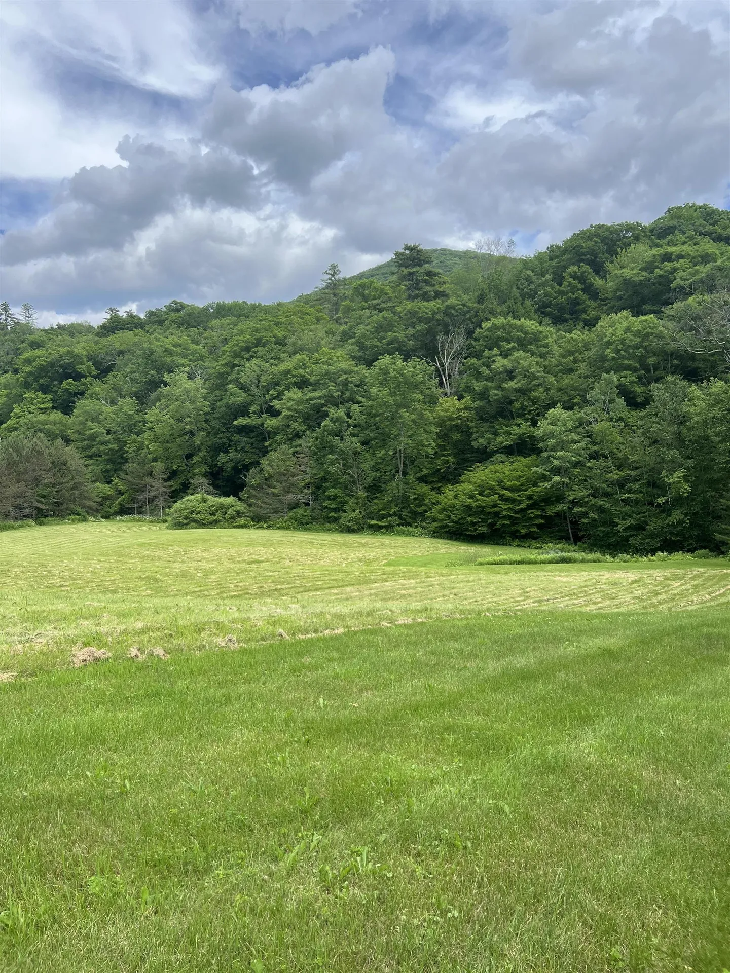 2740 Sandgate Road Sandgate VT 05250
