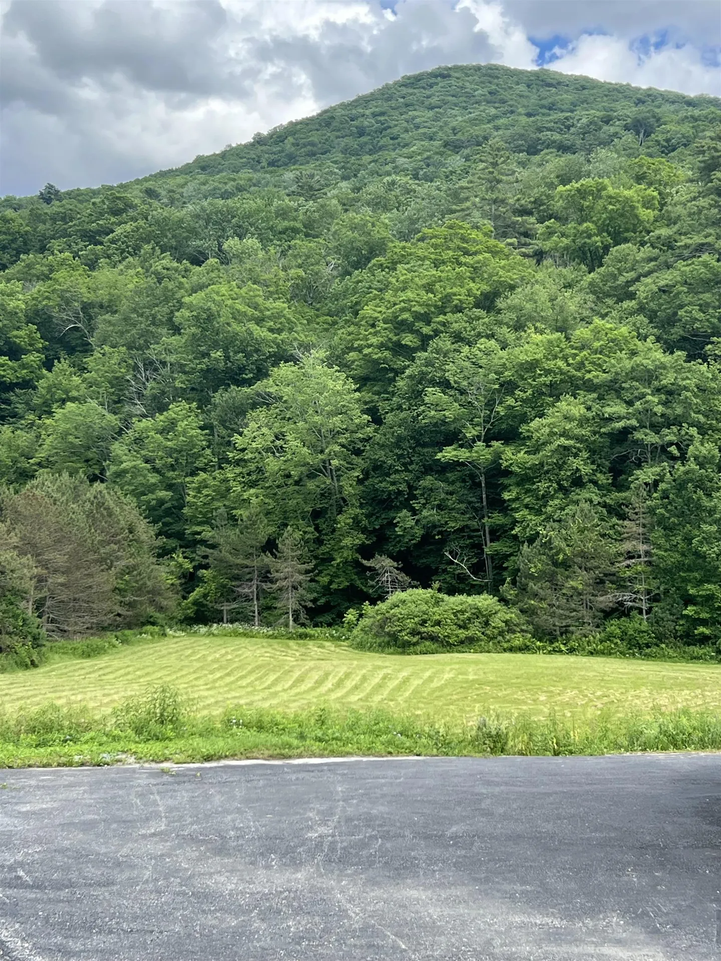 2740 Sandgate Road Sandgate VT 05250