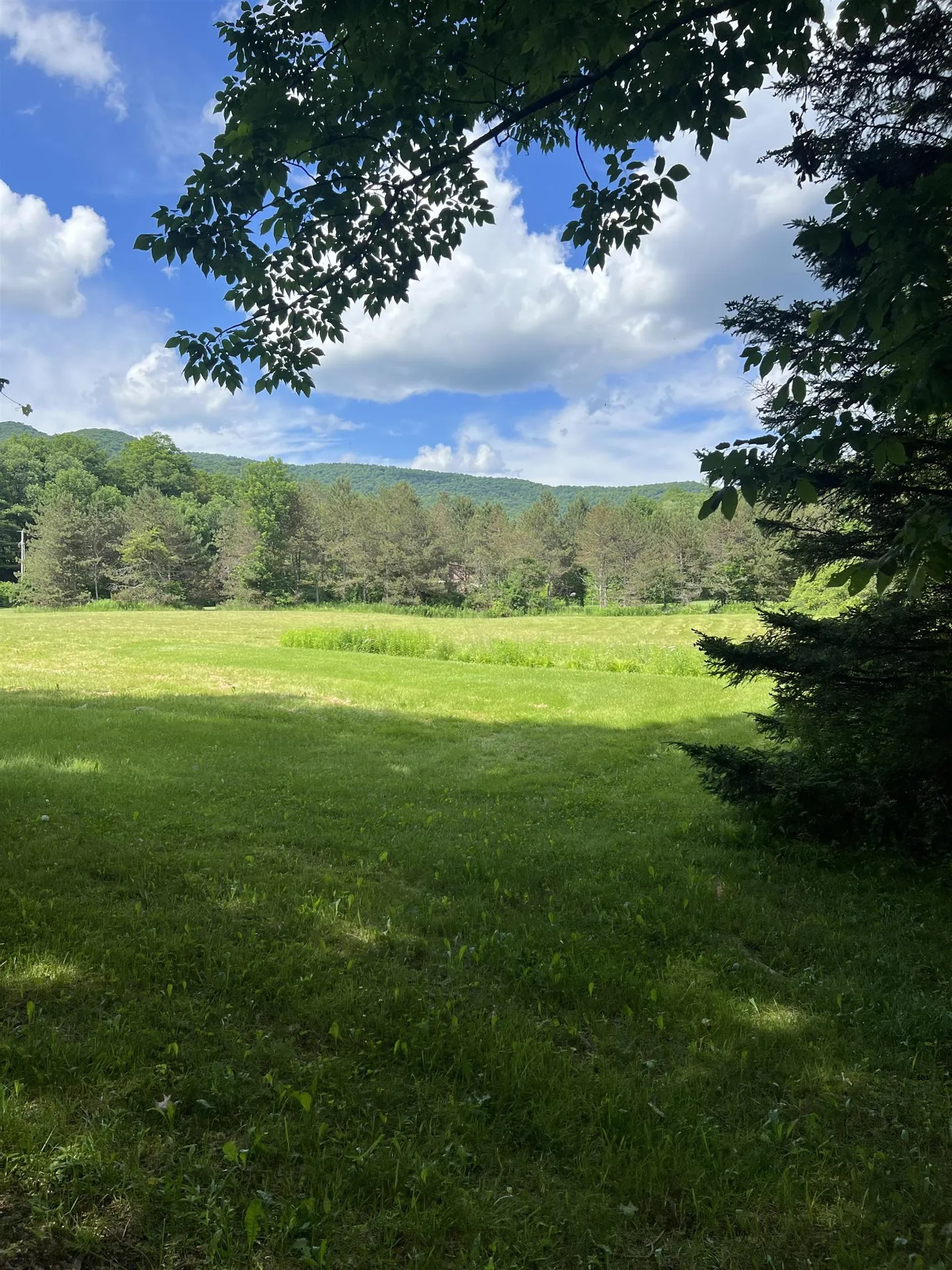 2740 Sandgate Road Sandgate VT 05250