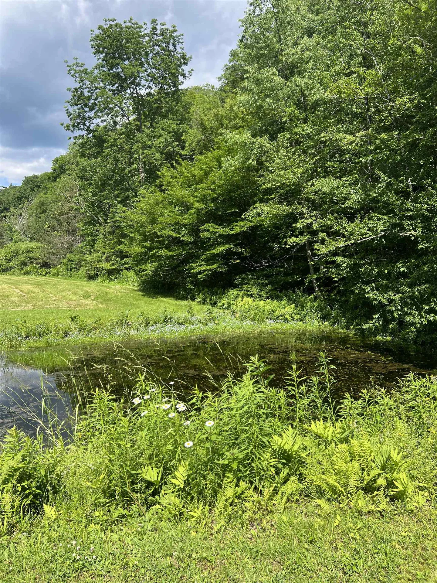 2740 Sandgate Road Sandgate VT 05250