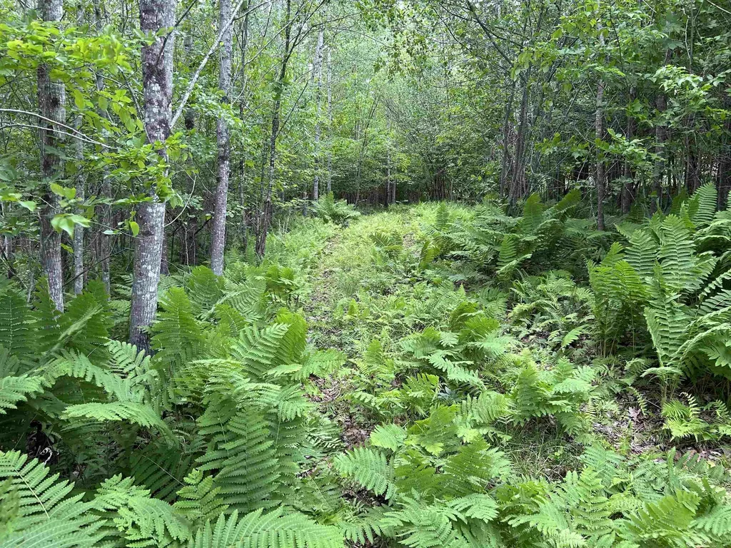 4 Cutler Road Plainfield NH 03781