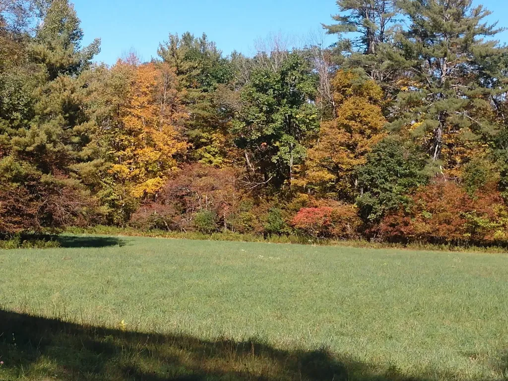 4 Cutler Road Plainfield NH 03781
