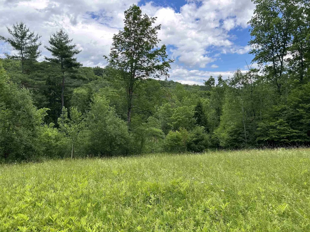 4 Cutler Road Plainfield NH 03781