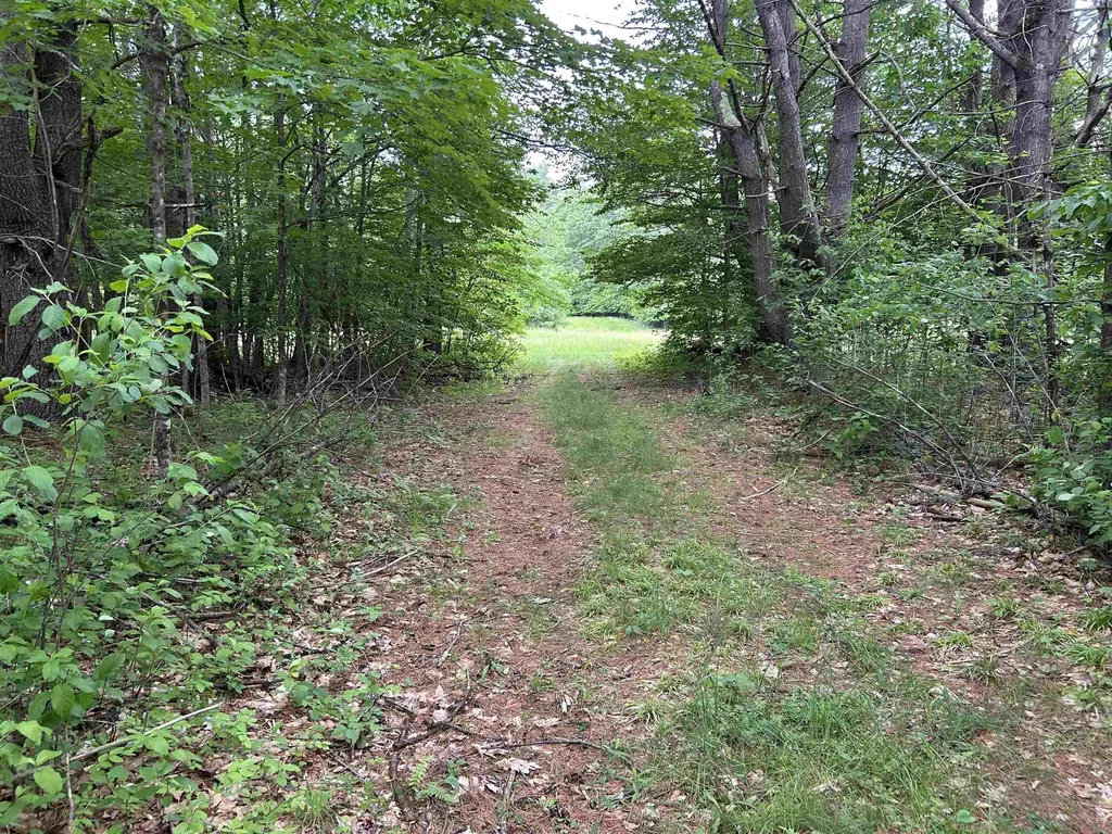 4 Cutler Road Plainfield NH 03781