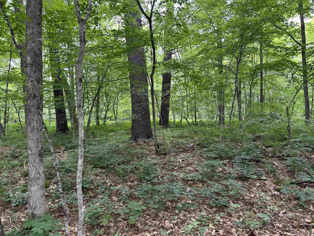 4 Cutler Road Plainfield NH 03781