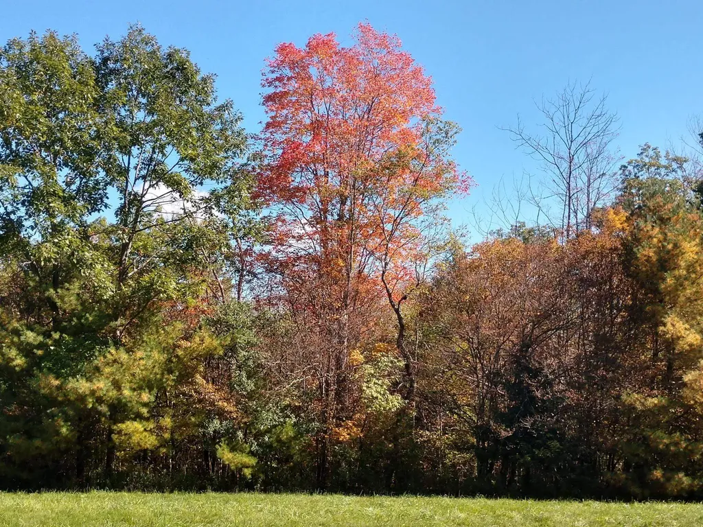 4 Cutler Road Plainfield NH 03781